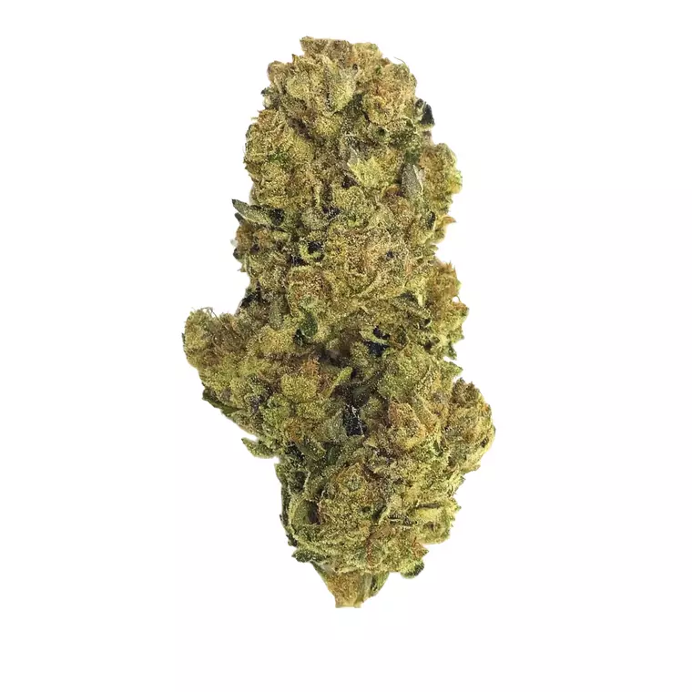 Drapalin 26/1 Bliss – Produktbild des Anbieters Bloomwell