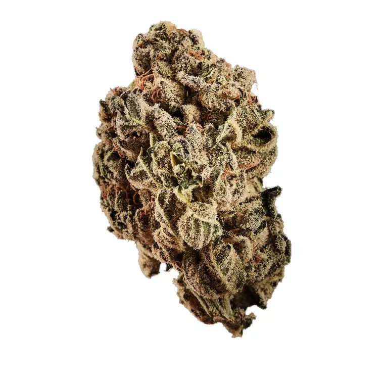 Curaleaf Natural 25/1 PT LVC – Produktbild des Anbieters Bloomwell