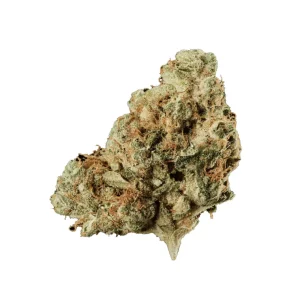 420 Evolution 27/1 CA FFC – Produktbild des Anbieters Bloomwell