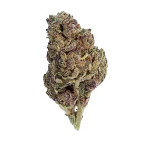 Canify 14/1 CL Ku. – Produktbild des Anbieters Bloomwell