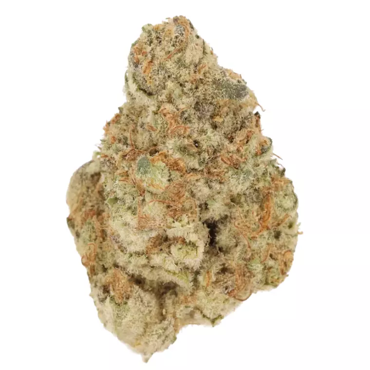 Cannamedical Hybrid ultimate KA – Produktbild des Anbieters Bloomwell