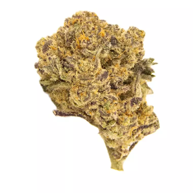 N!CE 15/1 LB – Produktbild des Anbieters Bloomwell