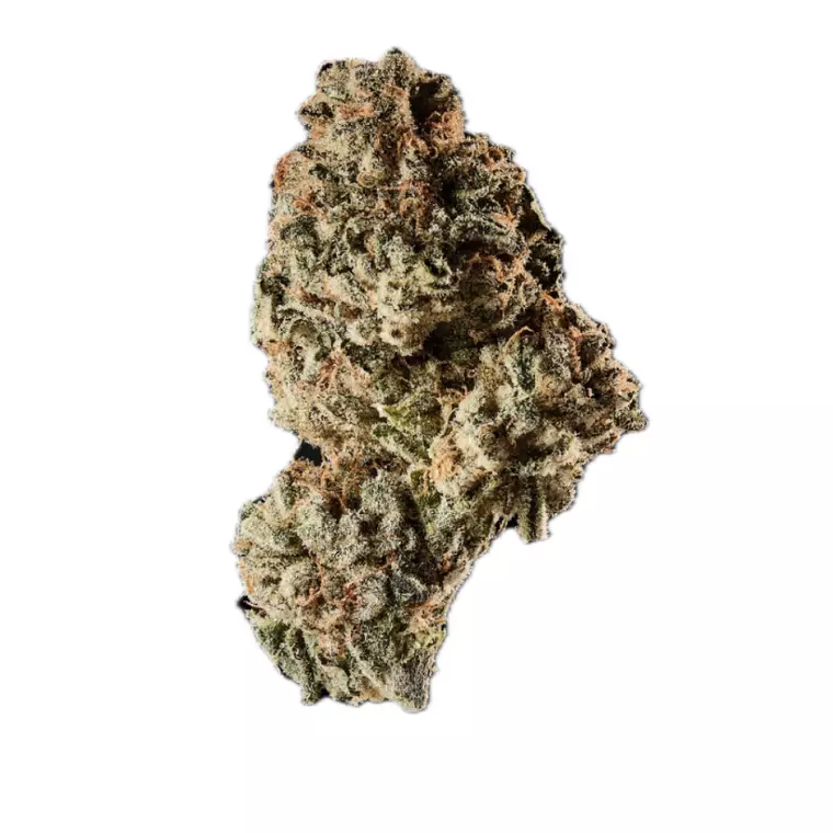 Huala 30/1 CA AMK – Produktbild des Anbieters Bloomwell