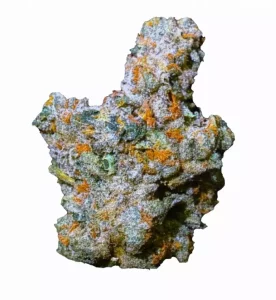 Apollo 30/1 MID – Produktbild des Anbieters Bloomwell
