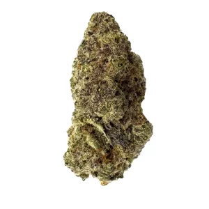 Mac 1+ – Produktbild des Anbieters Bloomwell