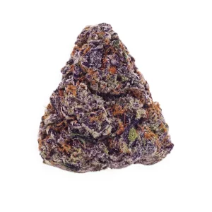 Buuo 28/1 BBK – Produktbild des Anbieters Bloomwell