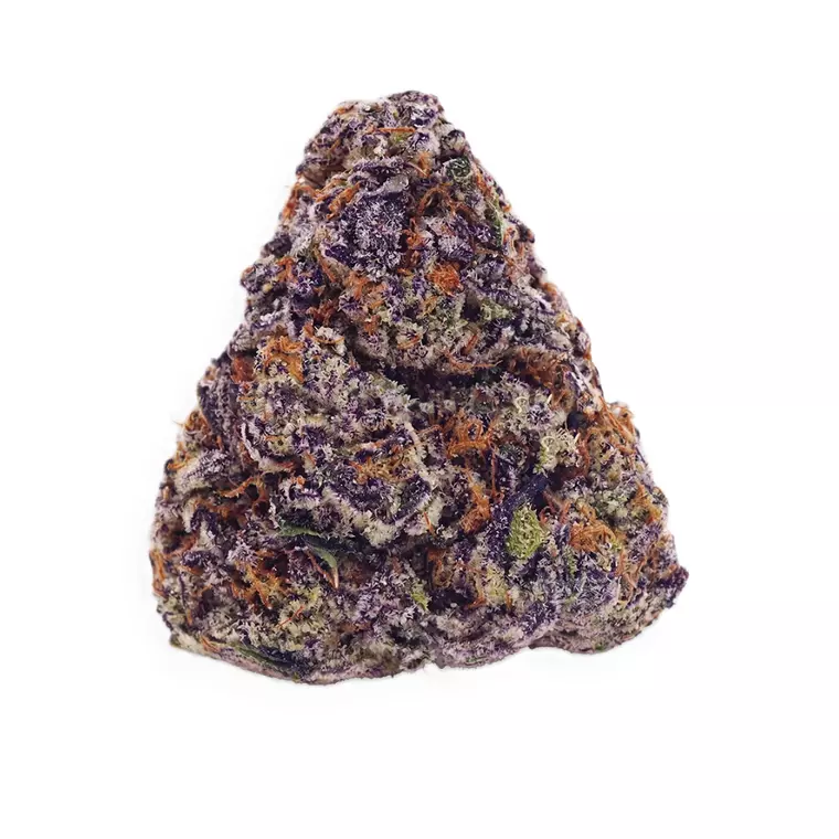 Buuo 28/1 BBK – Produktbild des Anbieters Bloomwell