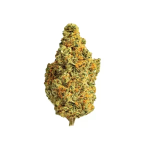 ZOIKS 22/1 TG – Produktbild des Anbieters Bloomwell