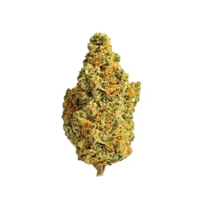 ZOIKS 31/1 TG – Produktbild des Anbieters Bloomwell