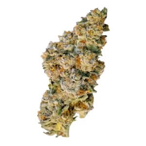 Demecan CRAFT Aloha 31:01 – Produktbild des Anbieters Bloomwell