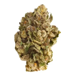 Pedanios 27/1 FRG-CA – Produktbild des Anbieters Bloomwell