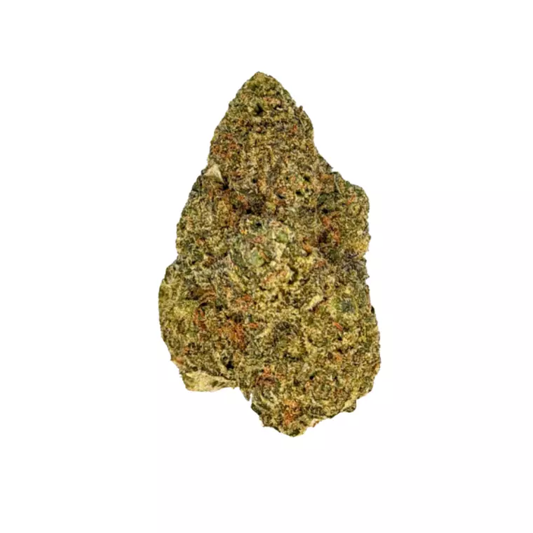 NICE 27/1 CSP – Produktbild des Anbieters Bloomwell