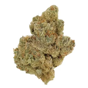 Cannamedical Indica Forte BC TB – Produktbild des Anbieters Bloomwell