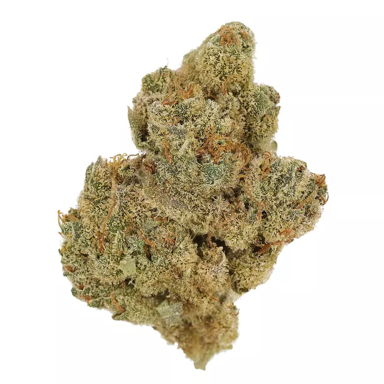 Cannamedical Indica Forte BC TB – Produktbild des Anbieters Bloomwell