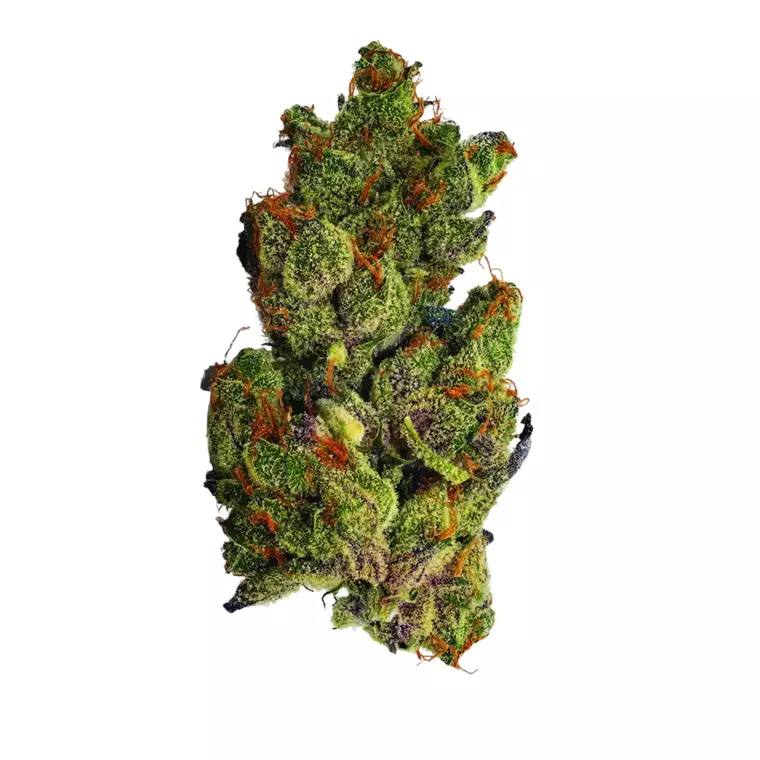 NICE 28/1 CHM – Produktbild des Anbieters Bloomwell