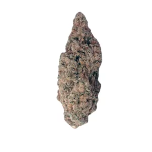Demecan Core Pulse 27:01 – Produktbild des Anbieters Bloomwell