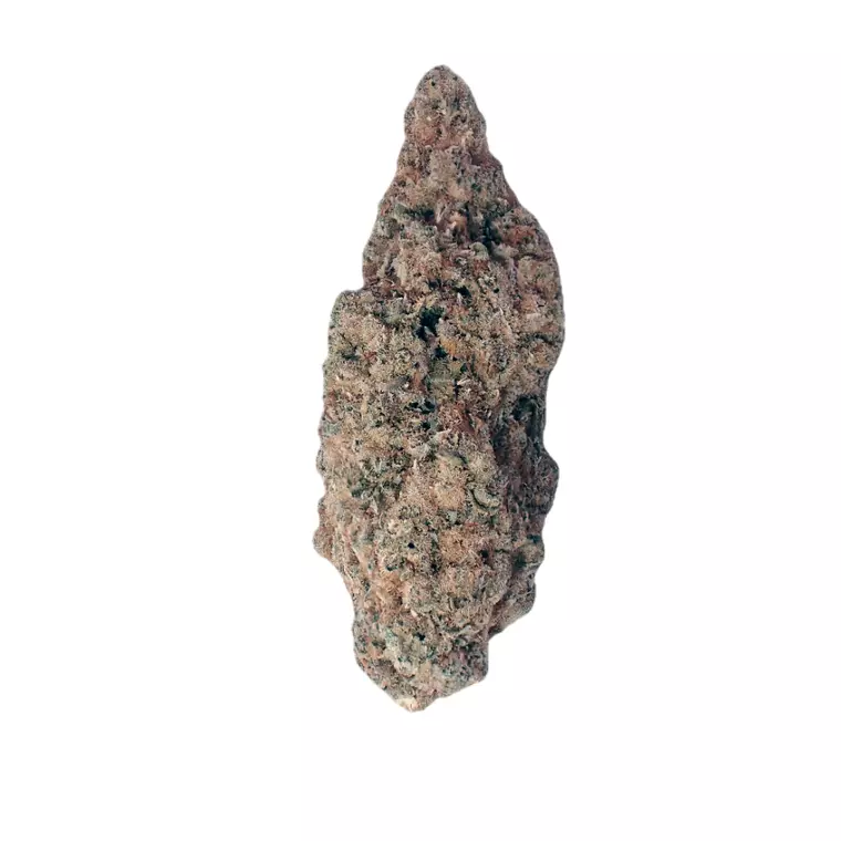 Demecan Core Pulse 27:01 – Produktbild des Anbieters Bloomwell