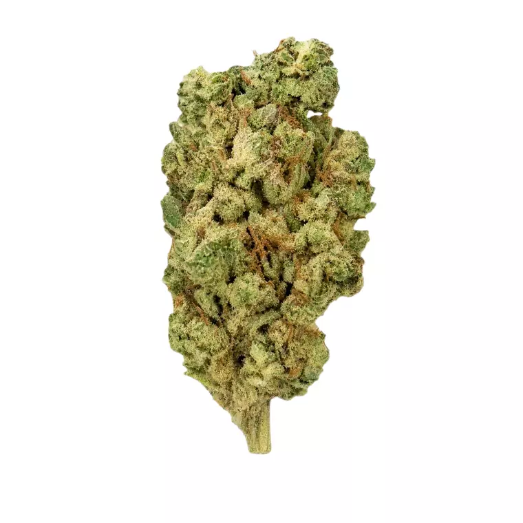 Coyote Valley 20/1 OGP – Produktbild des Anbieters Bloomwell