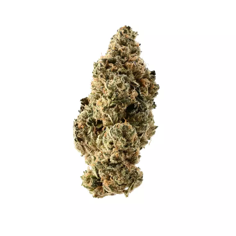 Demecan PS MINT 30:01 Drop – Produktbild des Anbieters Bloomwell