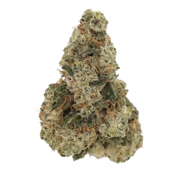 Cannamedical Sativa classic DK – Produktbild des Anbieters Bloomwell