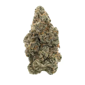 Demecan Core Cros 29:01 – Produktbild des Anbieters Bloomwell