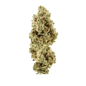 Demecan PS Lean Drop – Produktbild des Anbieters Bloomwell