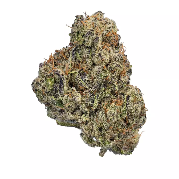 enua 25/1 CDG CA – Produktbild des Anbieters Bloomwell