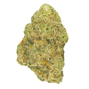 San Raf 31/1 CFK – Produktbild des Anbieters Bloomwell