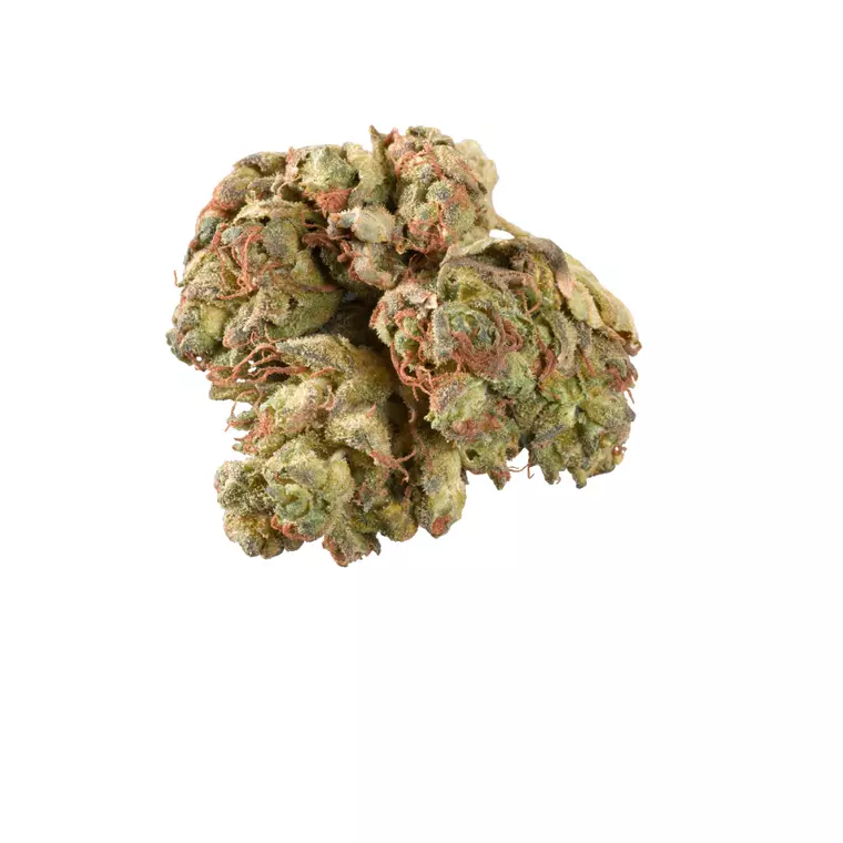 Canopy AKH 25/1 – Produktbild des Anbieters Bloomwell