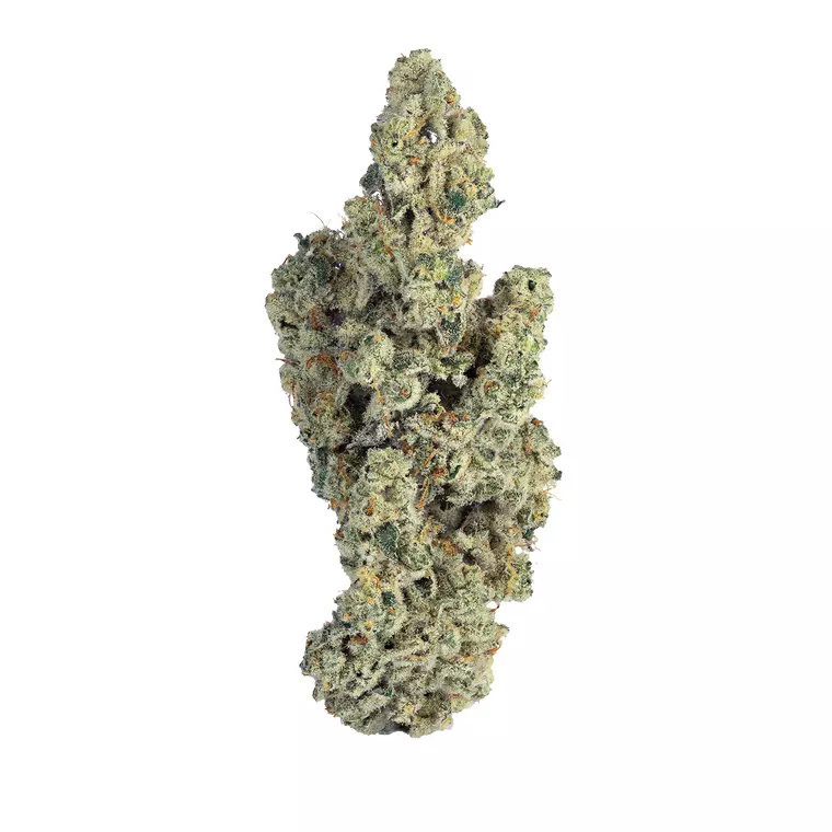 enua 30/1 BC CA – Produktbild des Anbieters Bloomwell