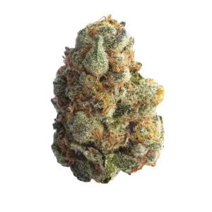 LIT 33/1 MKU – Produktbild des Anbieters Bloomwell