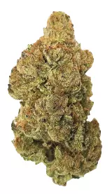 Drapalin 27/1 Full Gas – Produktbild des Anbieters Bloomwell