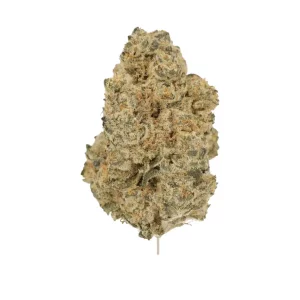 Luana 28/1 MNF – Produktbild des Anbieters Bloomwell