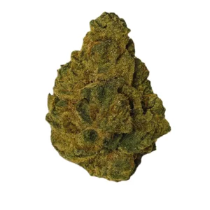 Khiron SP 28/1 – Produktbild des Anbieters Bloomwell