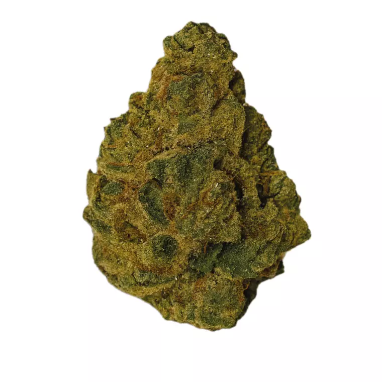 Khiron SP 28/1 – Produktbild des Anbieters Bloomwell
