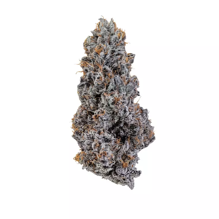 24/1 IUVO OC – Produktbild des Anbieters Bloomwell