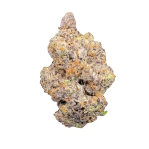 LIGHV Trails 25/1 EG – Produktbild des Anbieters Bloomwell