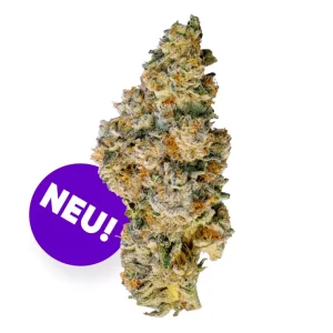 Demecan RF Epic Drop 30:01 – Produktbild des Anbieters Bloomwell