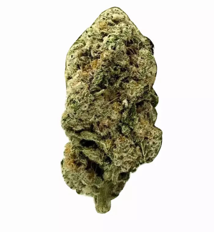 Avaay 18/1 MCO – Produktbild des Anbieters Bloomwell