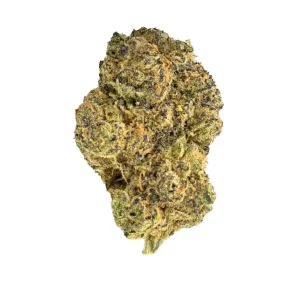 enua 25/1 FLH CA – Produktbild des Anbieters Bloomwell