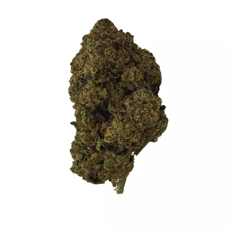 enua 27/1 SDG CA – Produktbild des Anbieters Bloomwell
