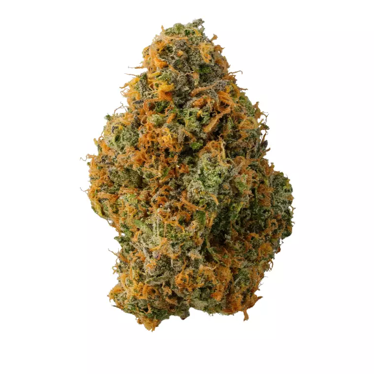 Doja 28/1 Z – Produktbild des Anbieters Bloomwell