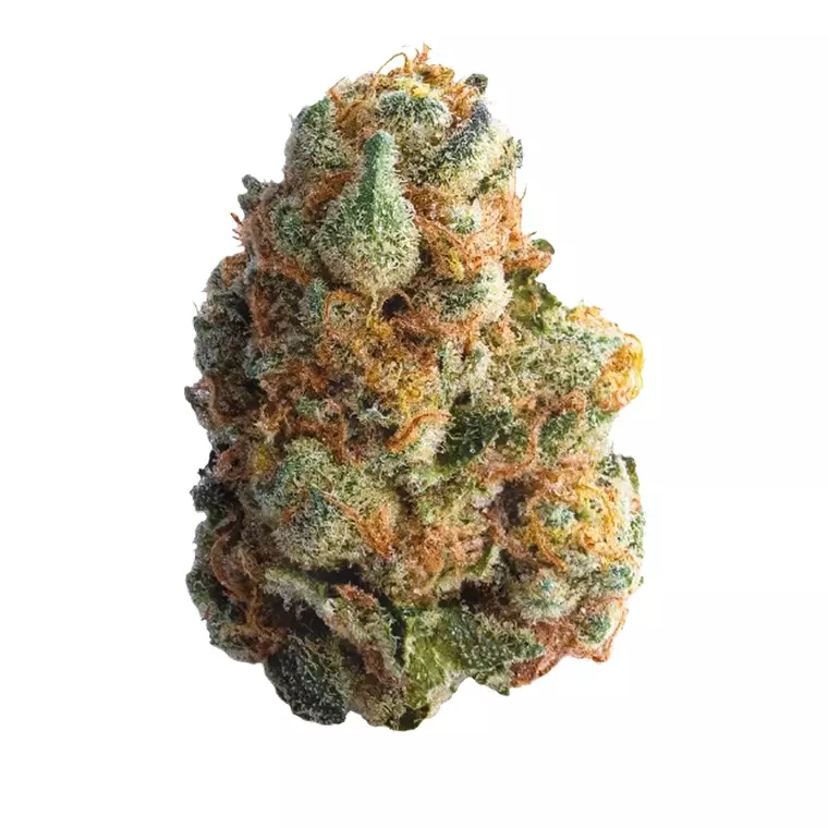 Peace Naturals 31/1 GC – Produktbild des Anbieters Bloomwell