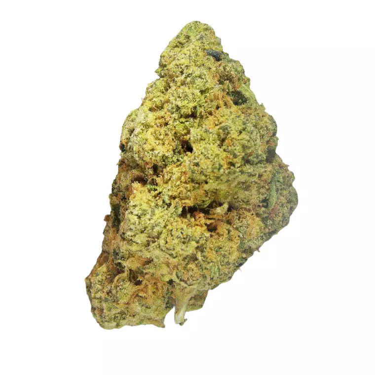 Amici 31/1 WC – Produktbild des Anbieters Bloomwell