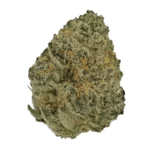Cannamedical Sativa Ultra NM – Produktbild des Anbieters Bloomwell