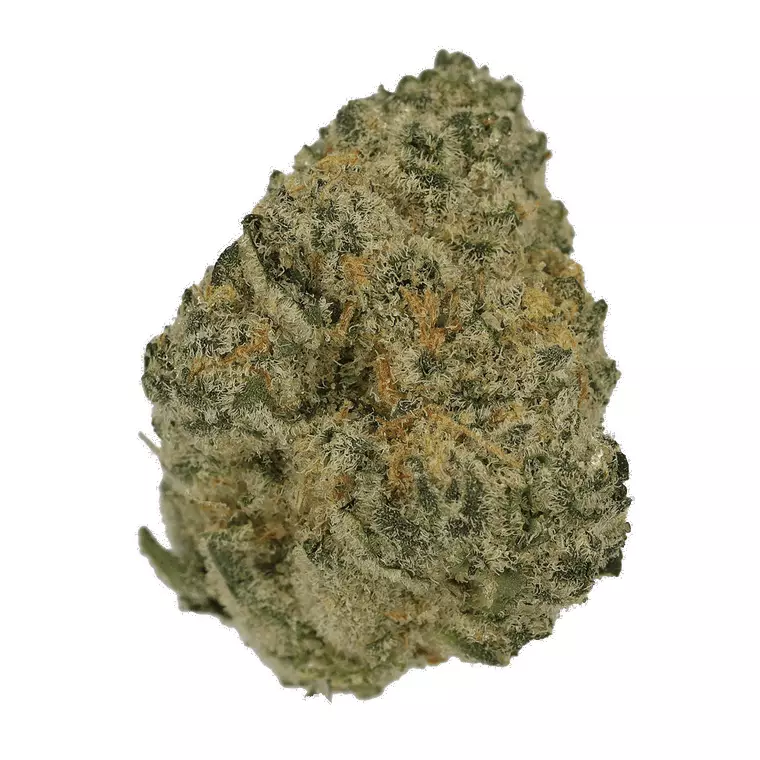 Cannamedical Sativa Ultra NM – Produktbild des Anbieters Bloomwell