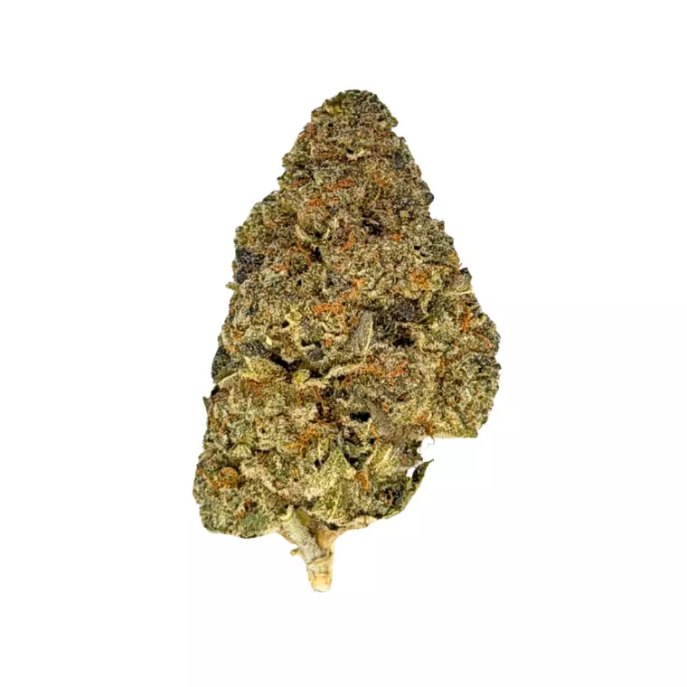 NICE 28/1 JFP – Produktbild des Anbieters Bloomwell