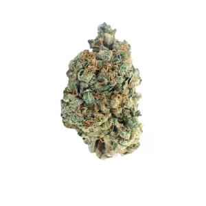 DEMECAN TYP 1 – Produktbild des Anbieters Bloomwell