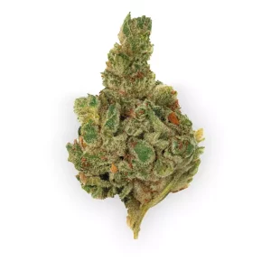 420 Natural 25/1 CA GG4 – Produktbild des Anbieters Bloomwell
