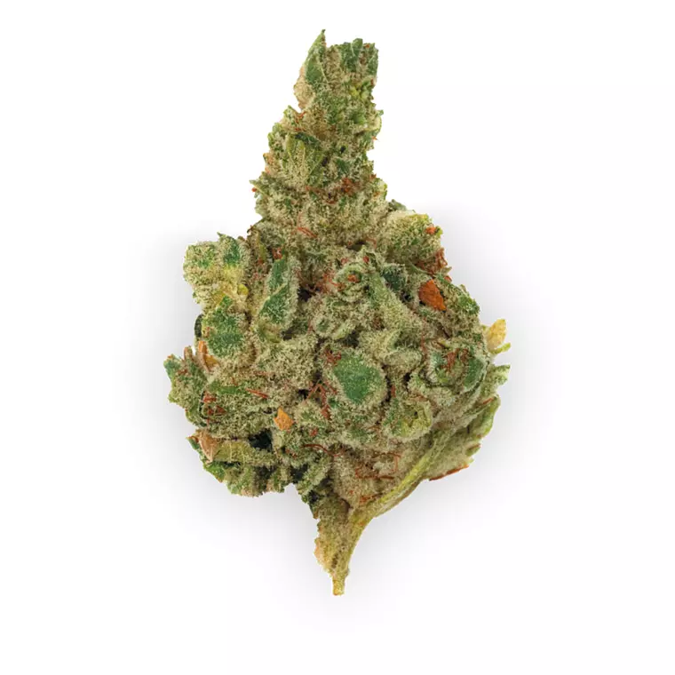 420 Natural 25/1 CA GG4 – Produktbild des Anbieters Bloomwell